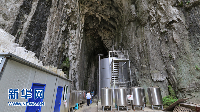 紫云学生营养餐 安顺市委书记曾永涛专访: