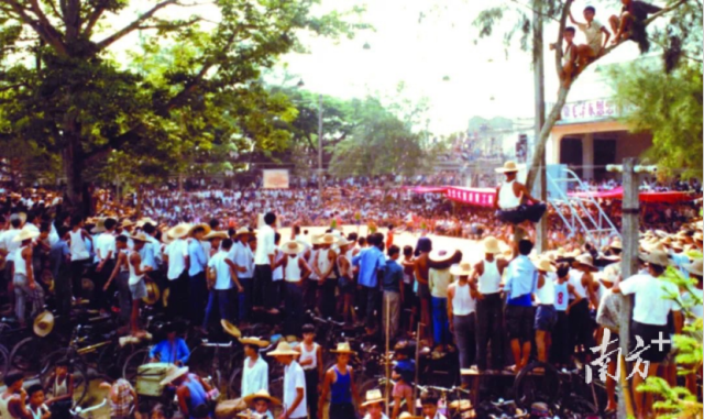 20世纪东莞“村BA”现场,村民爬树看比赛。